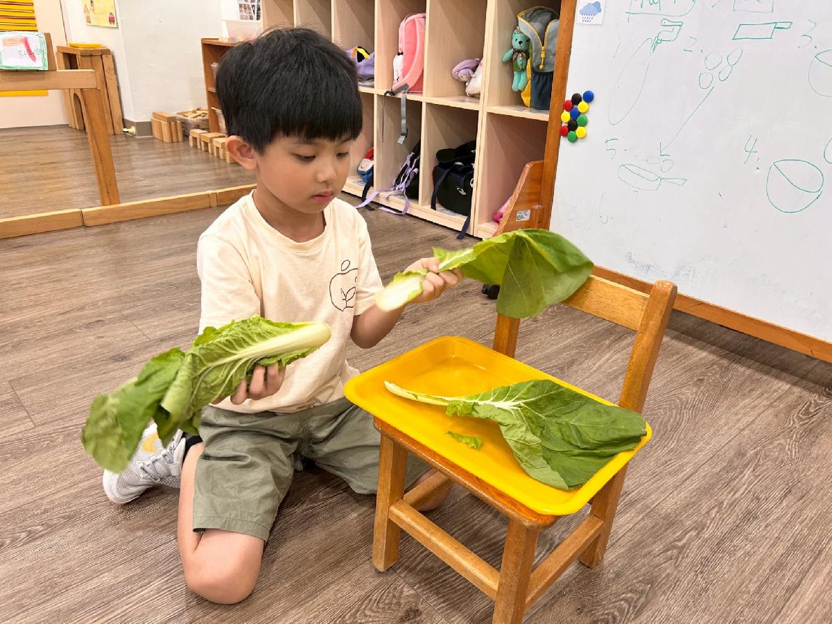 line_album_第十六週上傳照片_260529_1