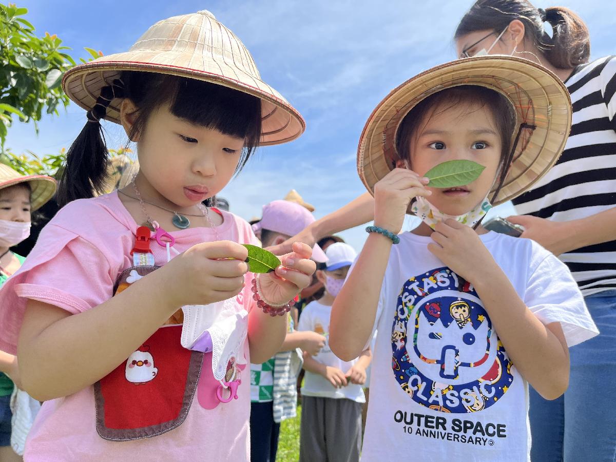 老街溪右岸龍德米庄一日客家人體驗 (1)