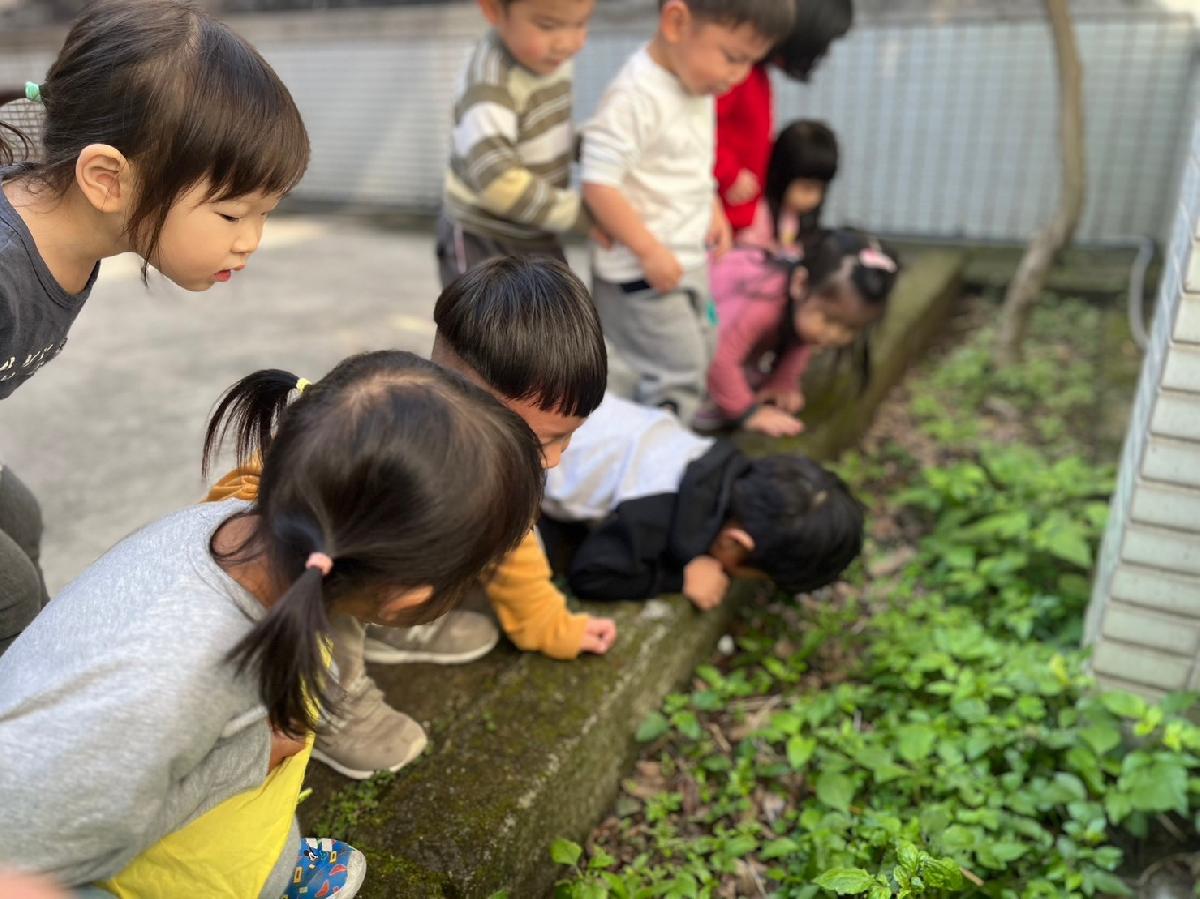 line_album_寒托_240201_24