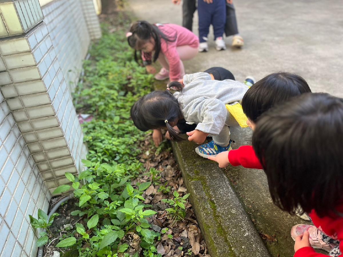 line_album_寒托_240201_28