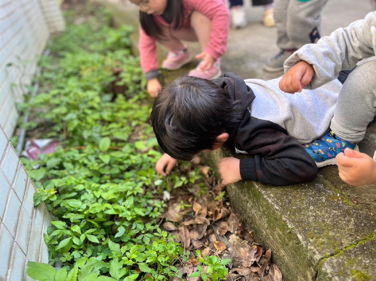 line_album_寒托_240201_29