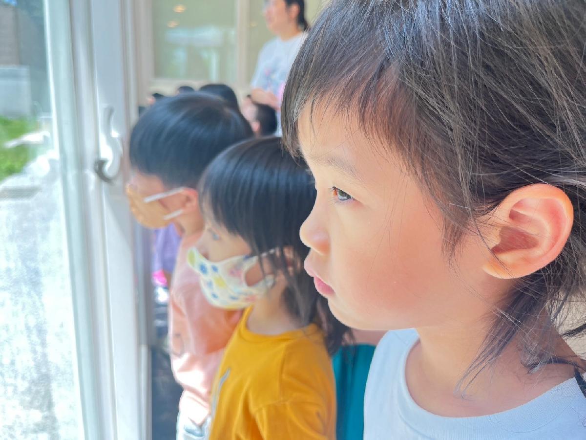 line_album_2024716_240716_26