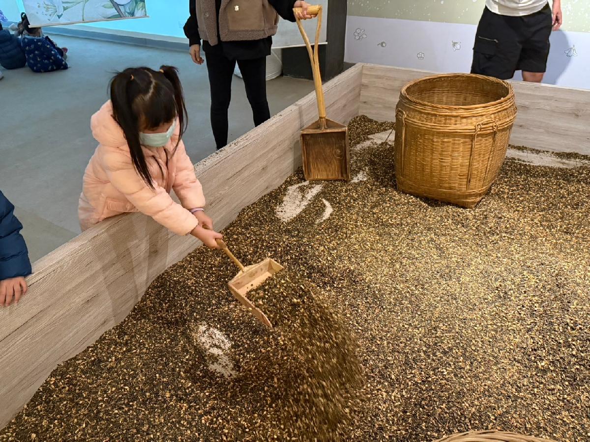 line_album_平安班戶外教學_241213_49