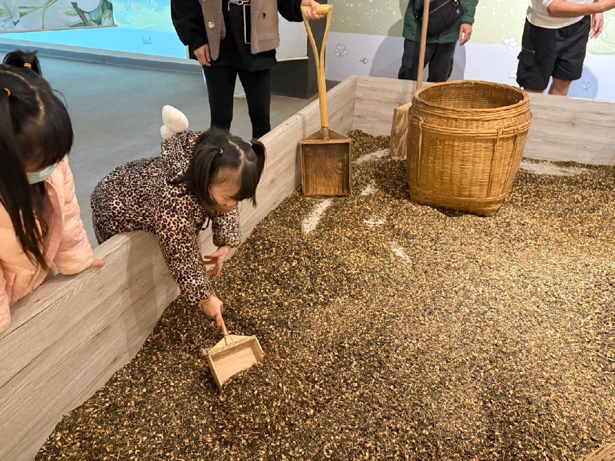 line_album_平安班戶外教學_241213_44