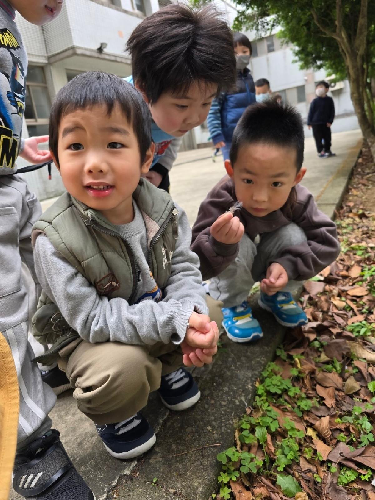 line_album_第21週幼兒活動照_250117_25