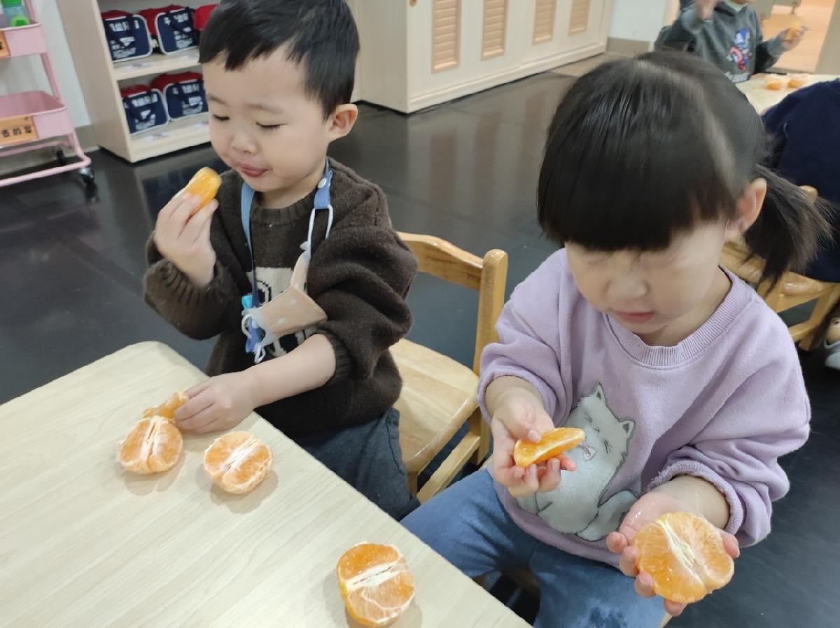 113-2義民分班第二週活動花絮 113-2義民分班第二週活動花絮