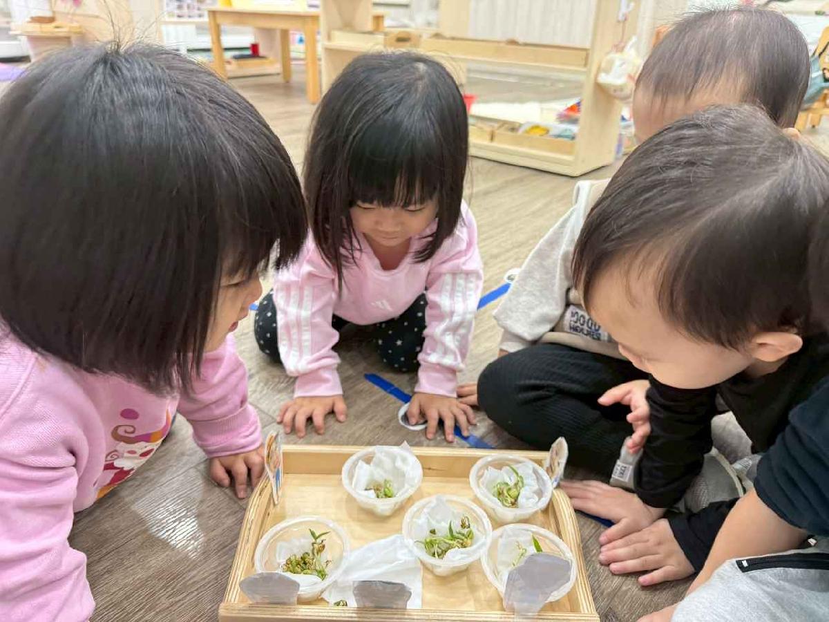 line_album_第七週上傳官網照片_260327_12