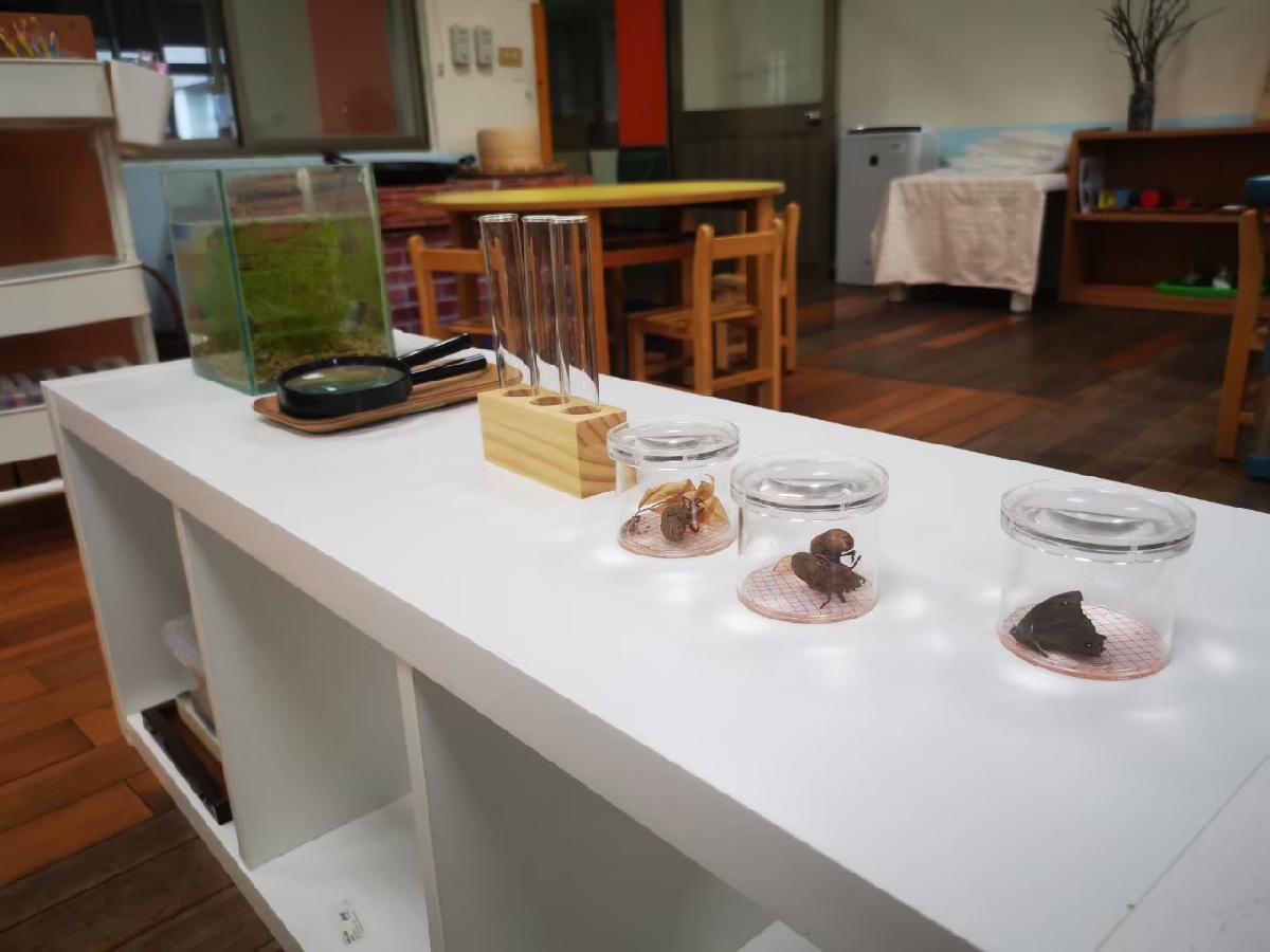 line_album_完成學習區_220407_5 line_album_完成學習區_220407_5